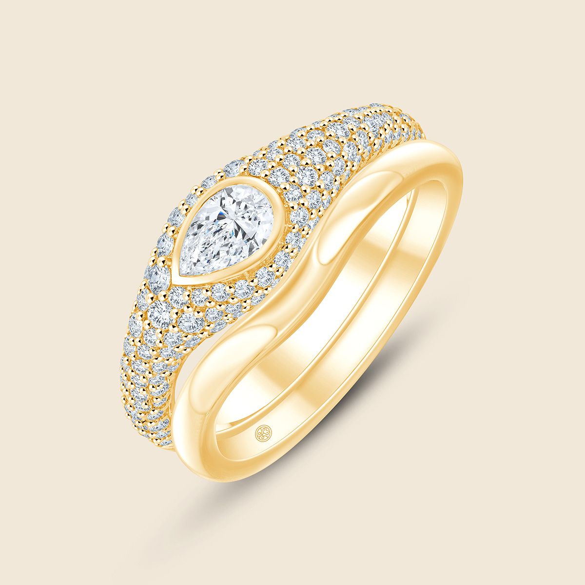 Nami Plain Siegel Band