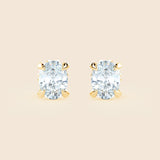 Lily Oval Studs Yellow