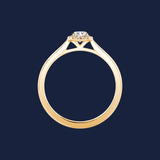 Cathedral Halo Pinched Round Ring